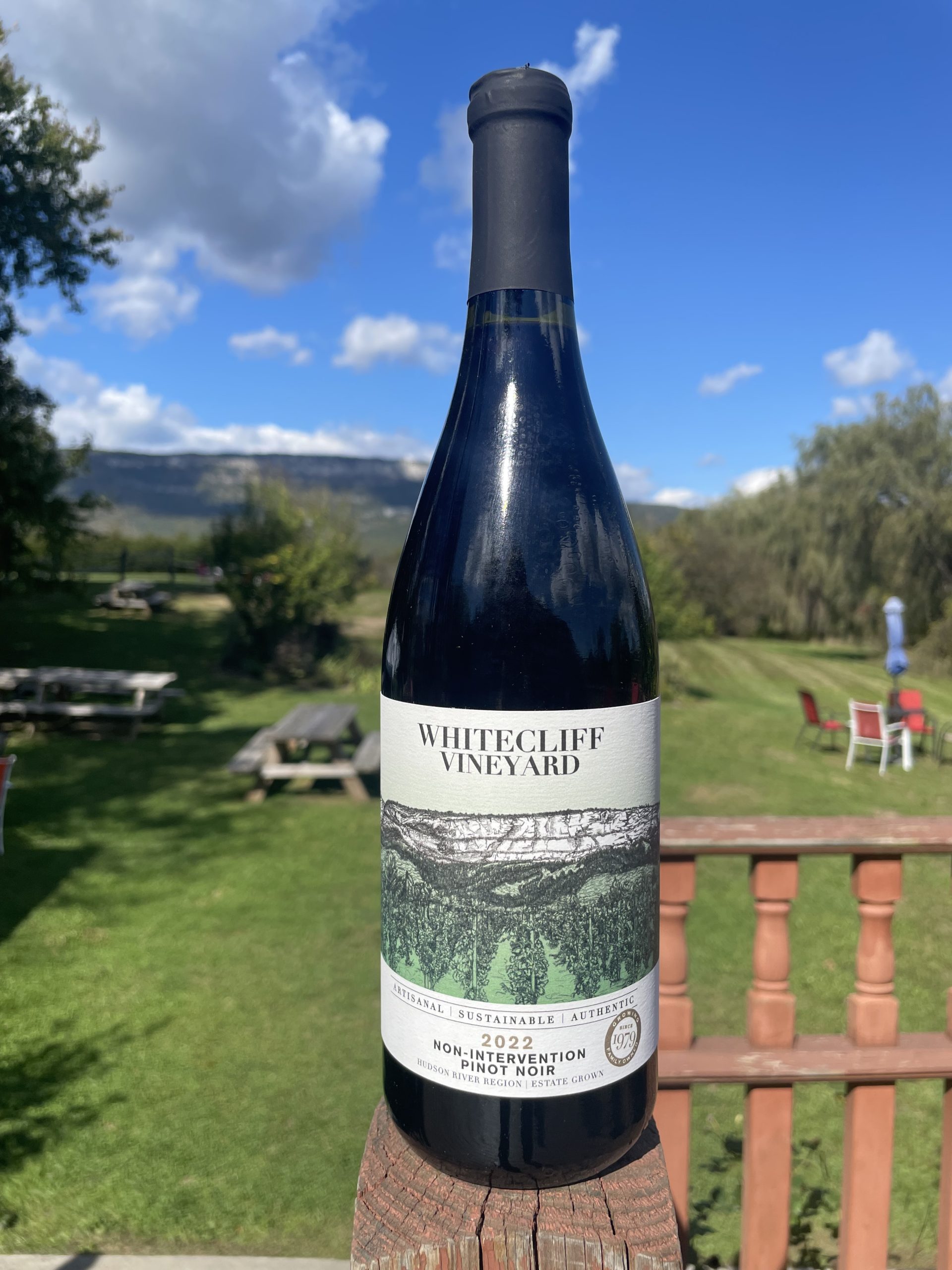 Non-Intervention Pinot Noir